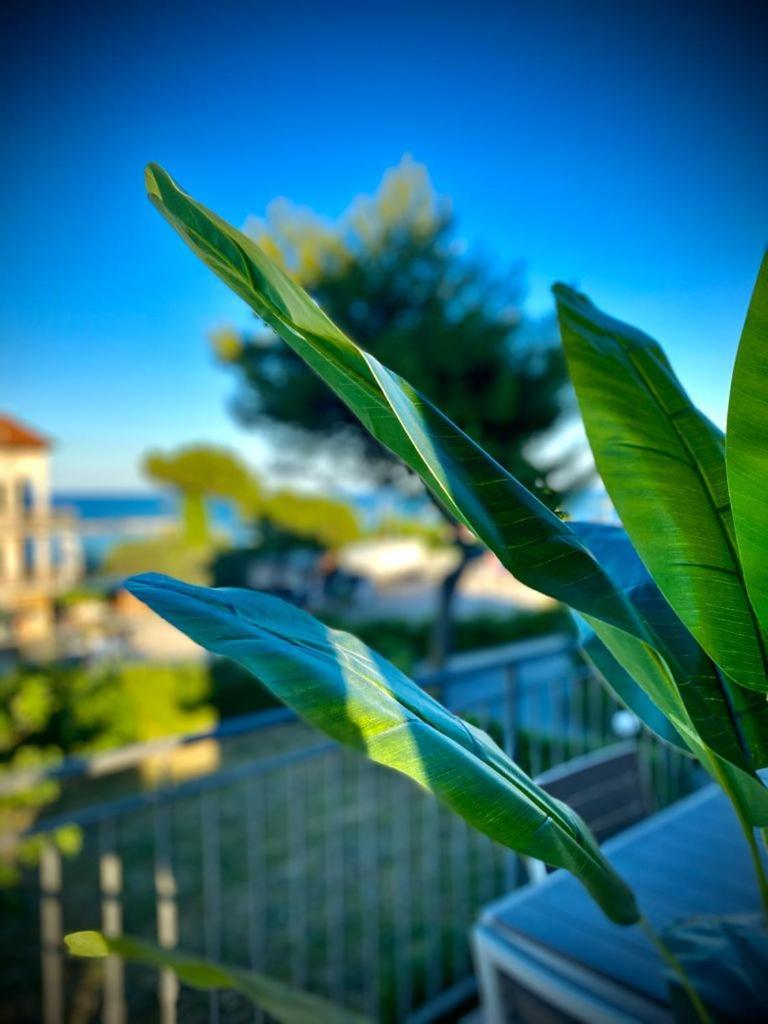 La Marinella Appartement Massignano Kamer foto